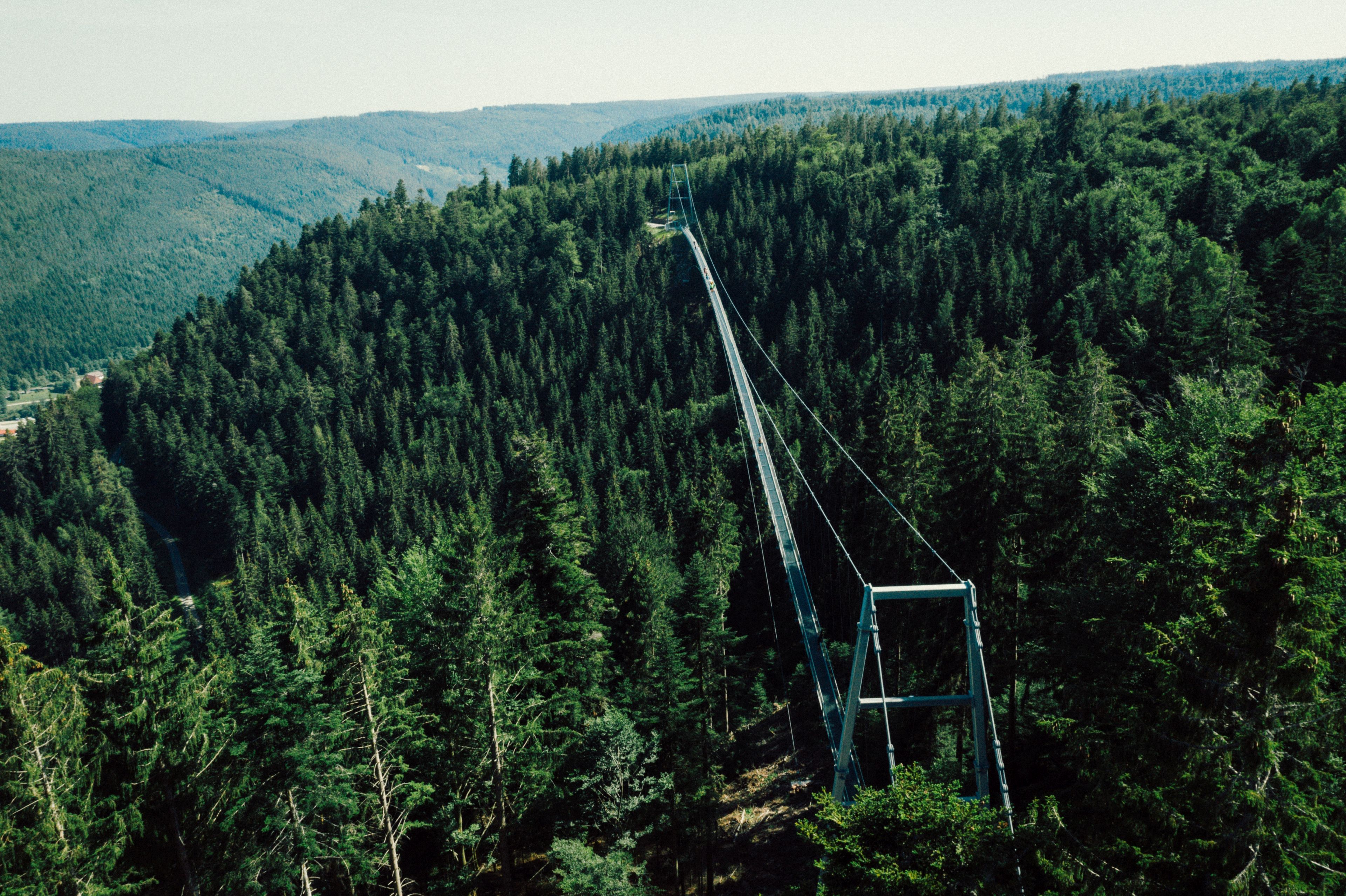 Wildline Bad Wildbad